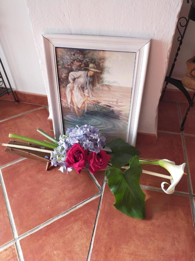 Rural Barrosos Apartment Coripe