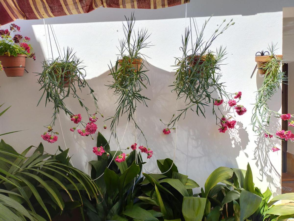Apartment Rural Barrosos